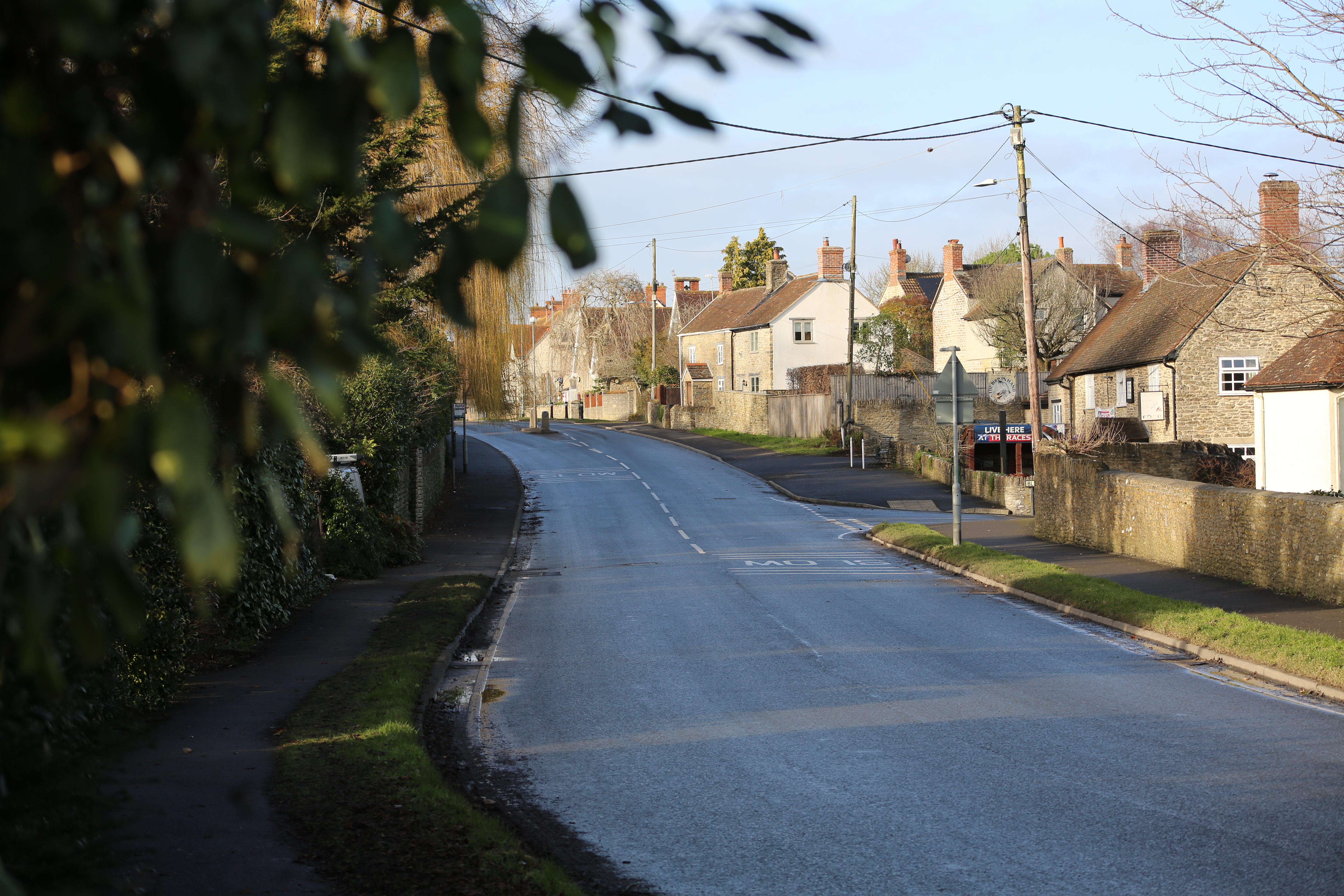 Roadside view of houses in Henstridge