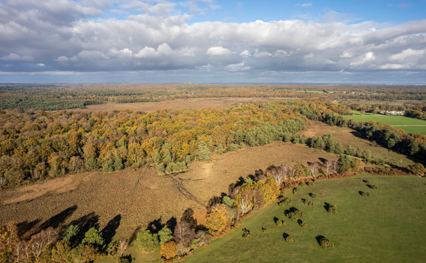 Aerial photography image of the New Forest, Hampshire